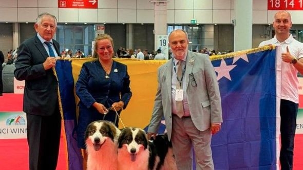 Bosna i Hercegovina ponovo na svjetskom vrhu: Tornjak "Lora od Burzića" svjetska šampionka 