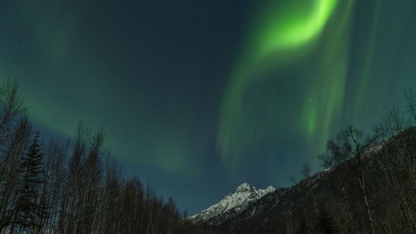 Spektakularna polarna svjetla obasjala nebo na Aljasci