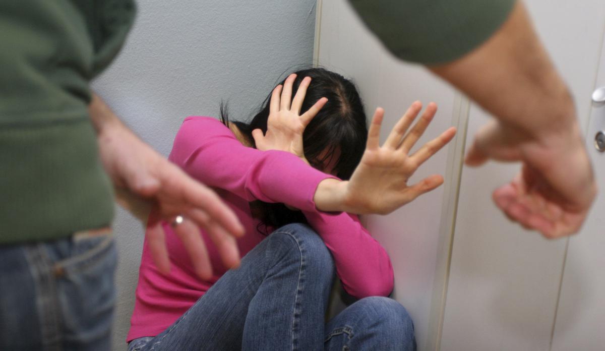 U RS za godinu 1.155 slučajeva nasilja u porodici