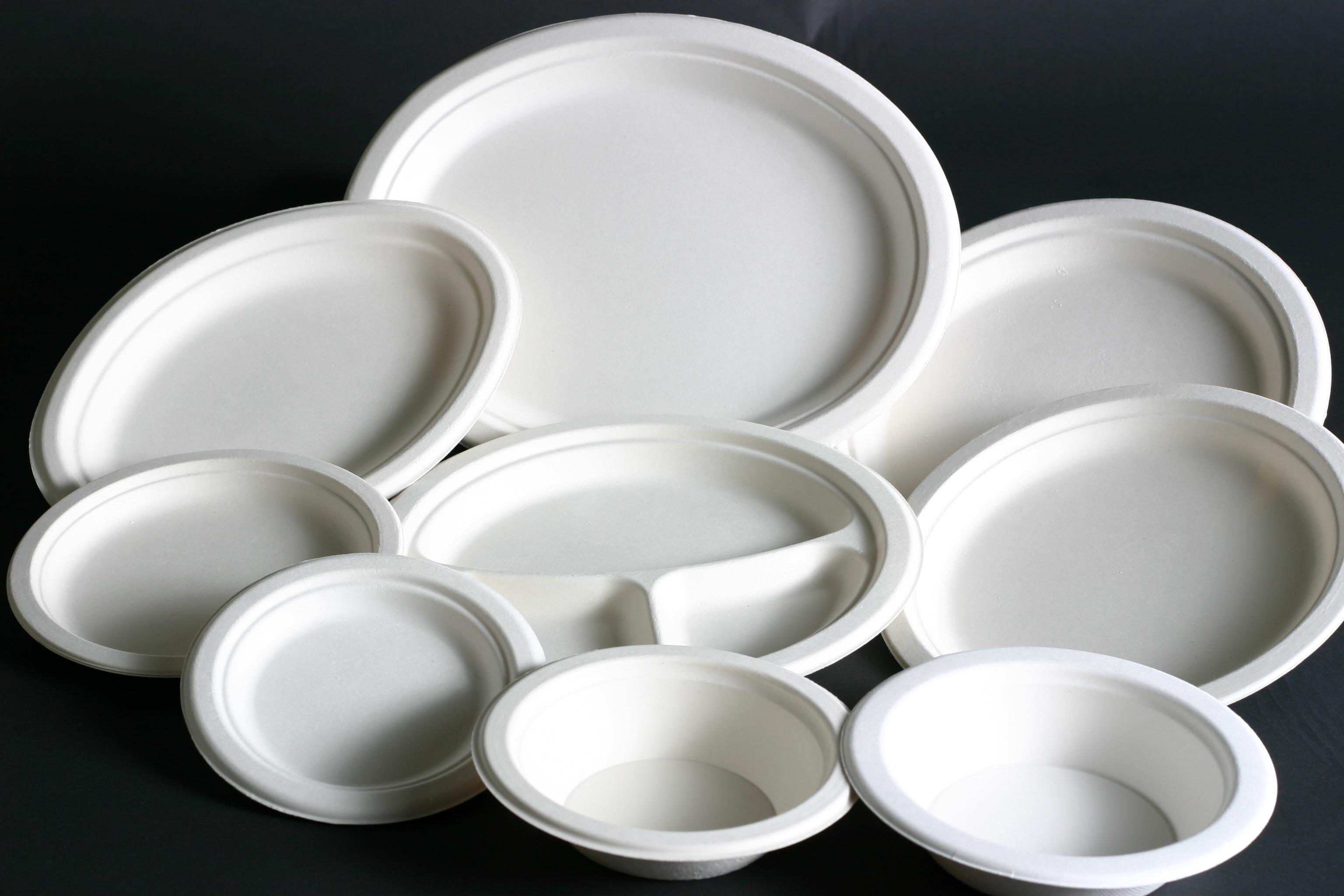 Smanjiti upotrebu plastičnih tanjira - Avaz