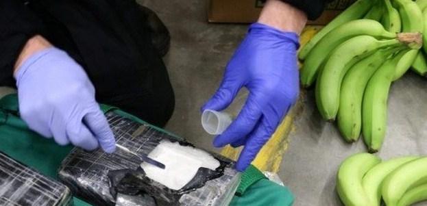 Kokain sakrivali u paketima s bananama - Avaz