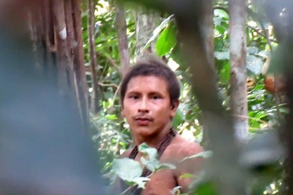 Snimljen član najugroženijeg plemena na svijetu: Prijete im drvosječe, rudari i trgovci drogom