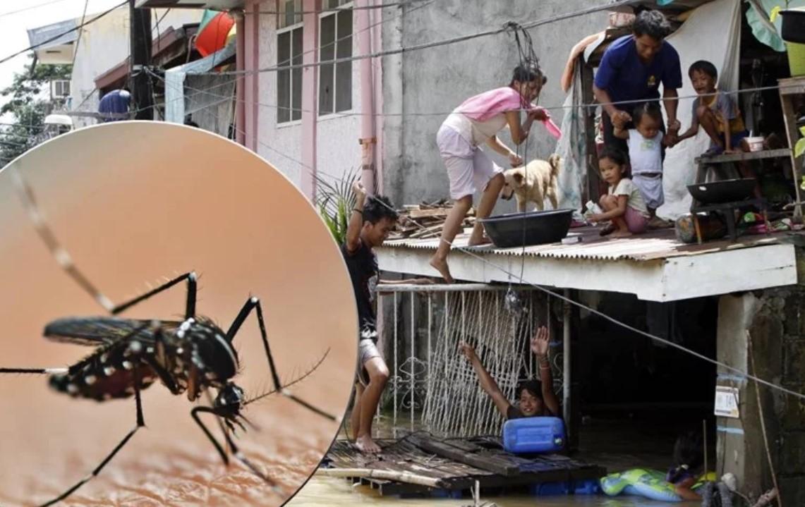 Na Filipinima umrle 622 osobe zbog denga groznice
