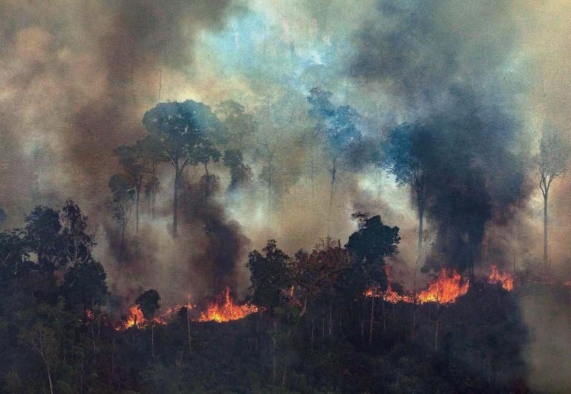 Požari u Amazonu - Avaz