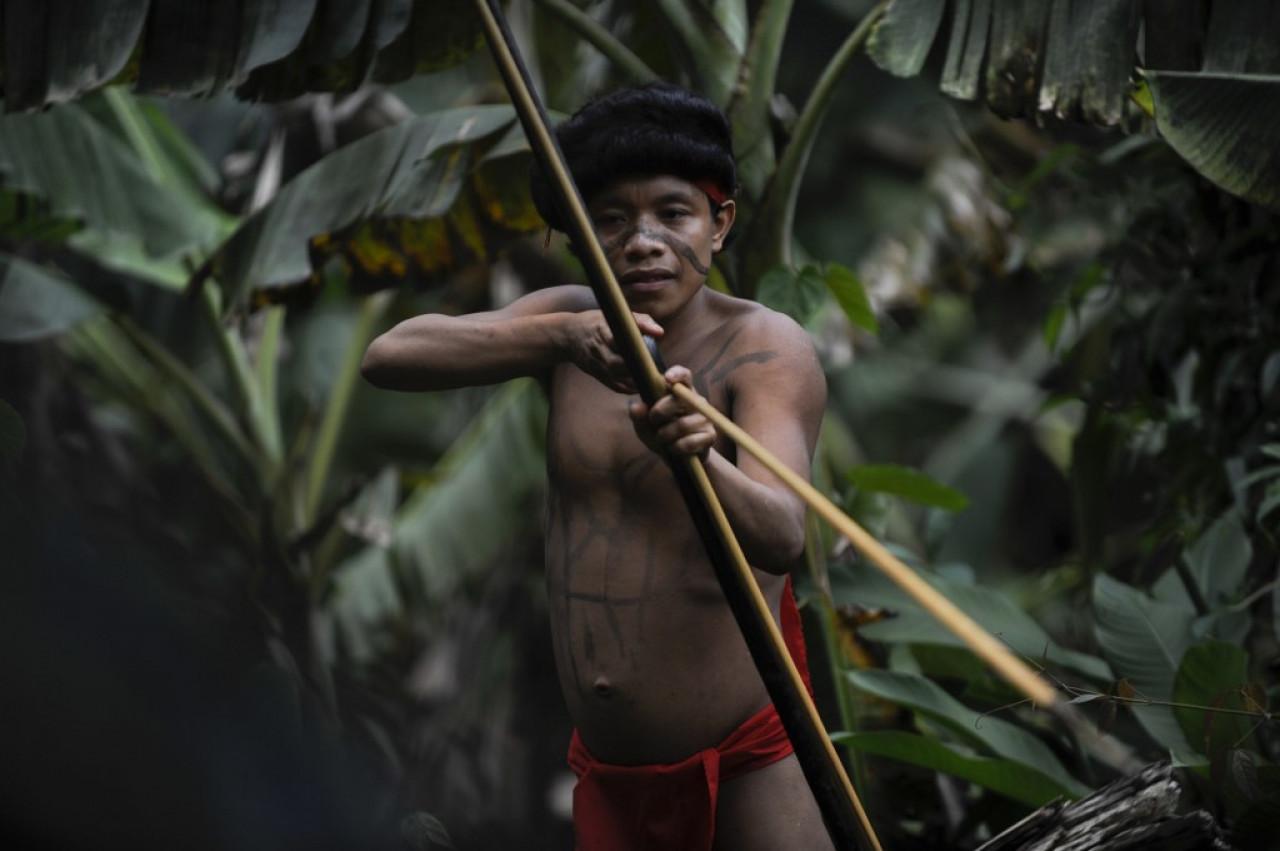 Amazonsko pleme - Avaz