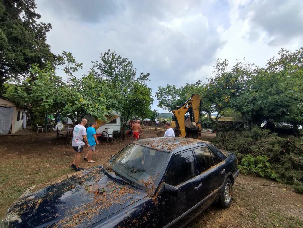 Veliko nevrijeme u Tivtu: Povrijeđene tri osobe, vjetar iščupao velika stabla i lomio grane