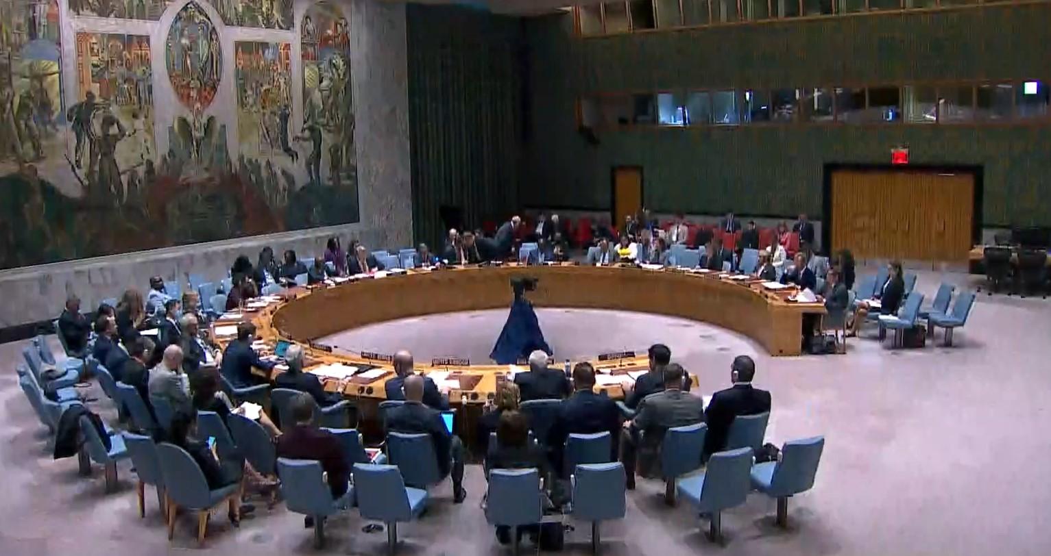 Sa Vijeća sigurnosti UN-a - Avaz