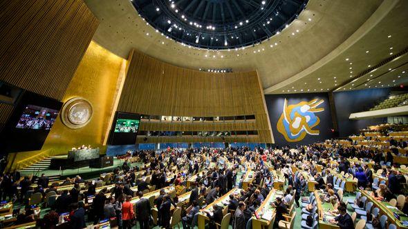 Opća skupština Ujedinjenih naroda  - Avaz