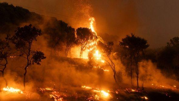 Požar u Grčkoj - Avaz