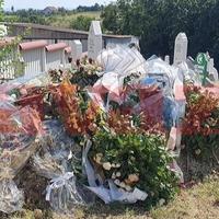 Bol ne prolazi: Građani iz cijele BiH dolaze na mezar brutalno ubijene Nizame Hećimović i ostavljaju cvijeće