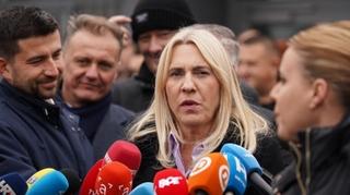 Cvijanović tvrdi: Ustavi sud BiH nema legitimitet