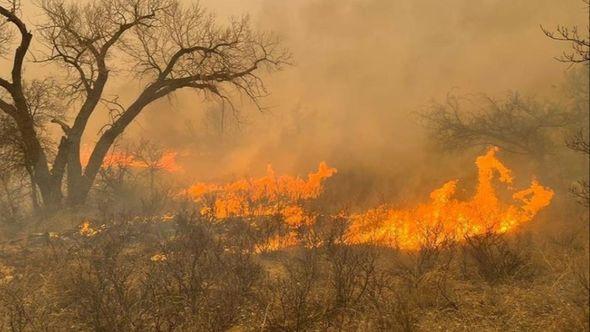 Požari u Novom Meksiku - Avaz