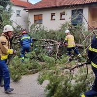 Nakon nevremena: U zapadnoj Hercegovini najviše stradali vinogradi i nasadi duhana