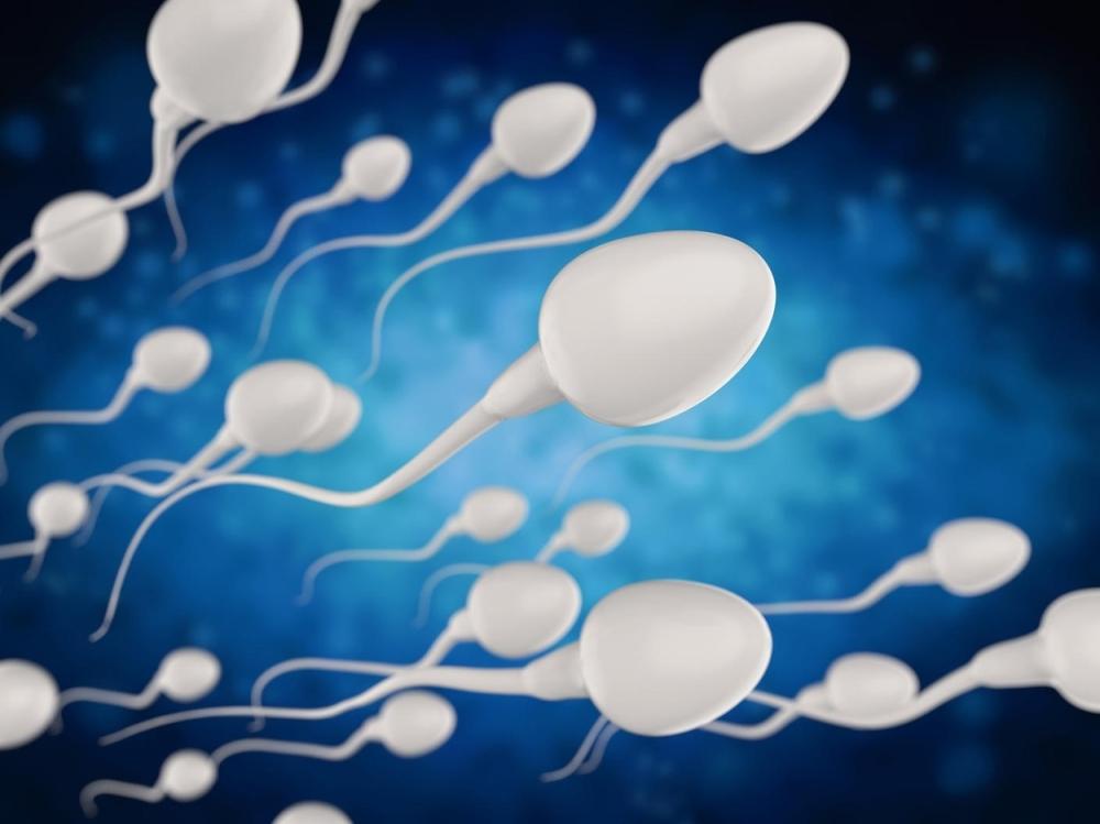 Naučnici otkrili vrlo efikasno oružje: Evo šta se dešava sa organizmom ako progutate malo sperme