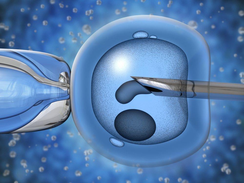 Donor iz Holandije malo pretjerao: Spermu davao u čak 11 različitih klinika i tako prekršio određena pravila