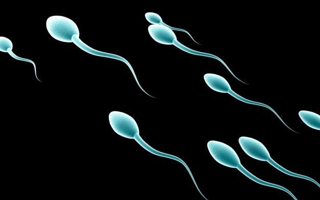 Analize potvrdile: Pada broj spermija kod muškaraca na Zapadu
