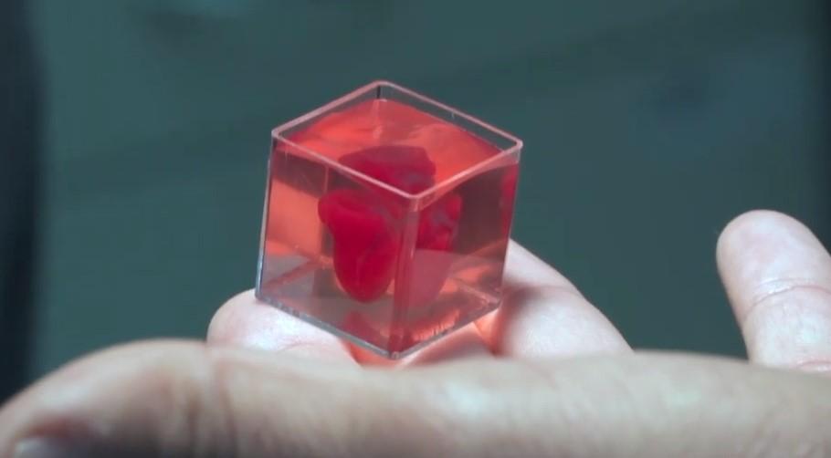 Veliki medicinski preokret: Pogledajte prvo štampano 3D srce s ljudskim tkivom i krvnim sudovima