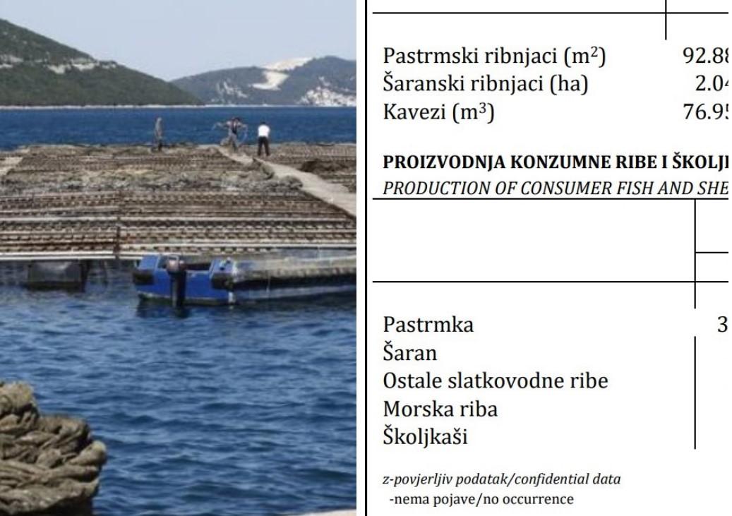 Podatak o morskim ribama u BiH je povjerljiv!