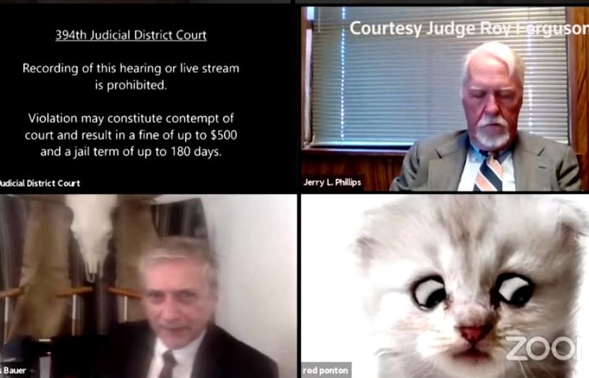 Advokat zapeo s filterom na Zoomu, pa se u virtualnoj sudnici pojavio kao mačka