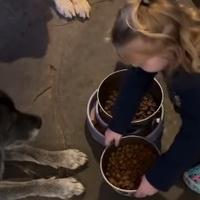 Djevojčica je iznijela psima posude s hranom, ali nema obroka dok ovo ne urade