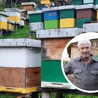 Pčelare zabrinule višednevne kiše: Koliko će loše vrijeme utjecati na cijenu meda
