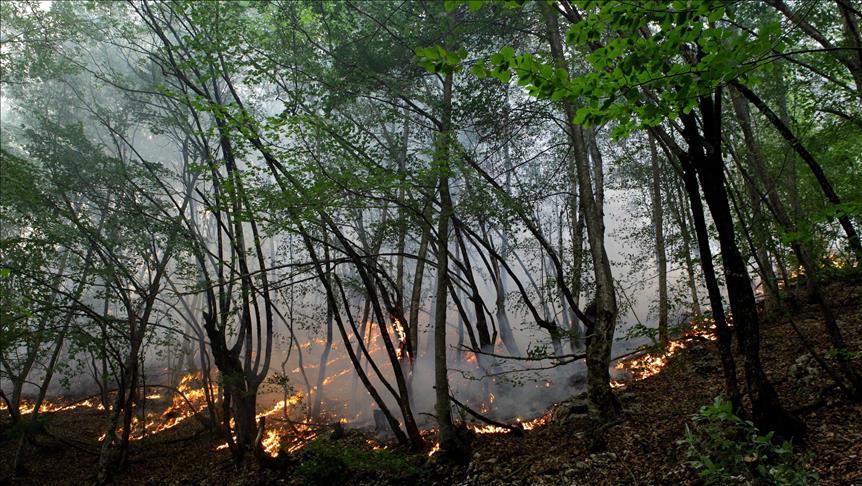 Upozorenje na opasnost izbijanja šumskih požara, štete su nemjerljive