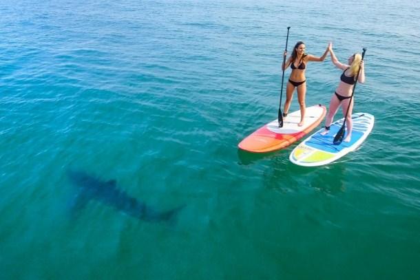 Dvije djevojke se ludo provodile na dasci za surfanje potpuno nesvjesne predatora koji su ih vrebali