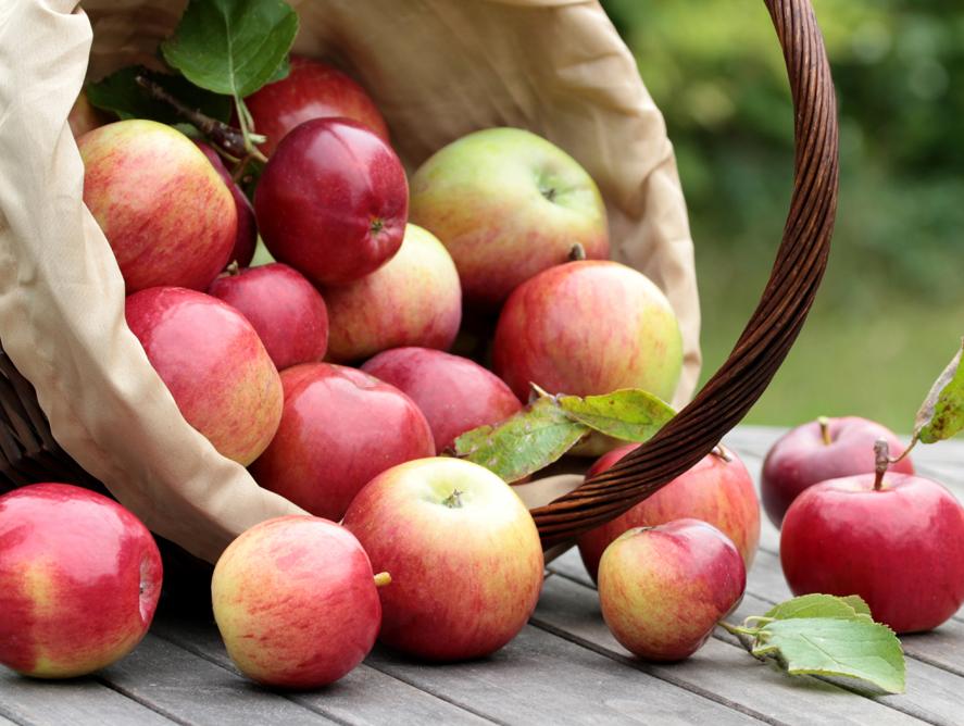 Regulacija masnoća: Jabuke protiv holesterola