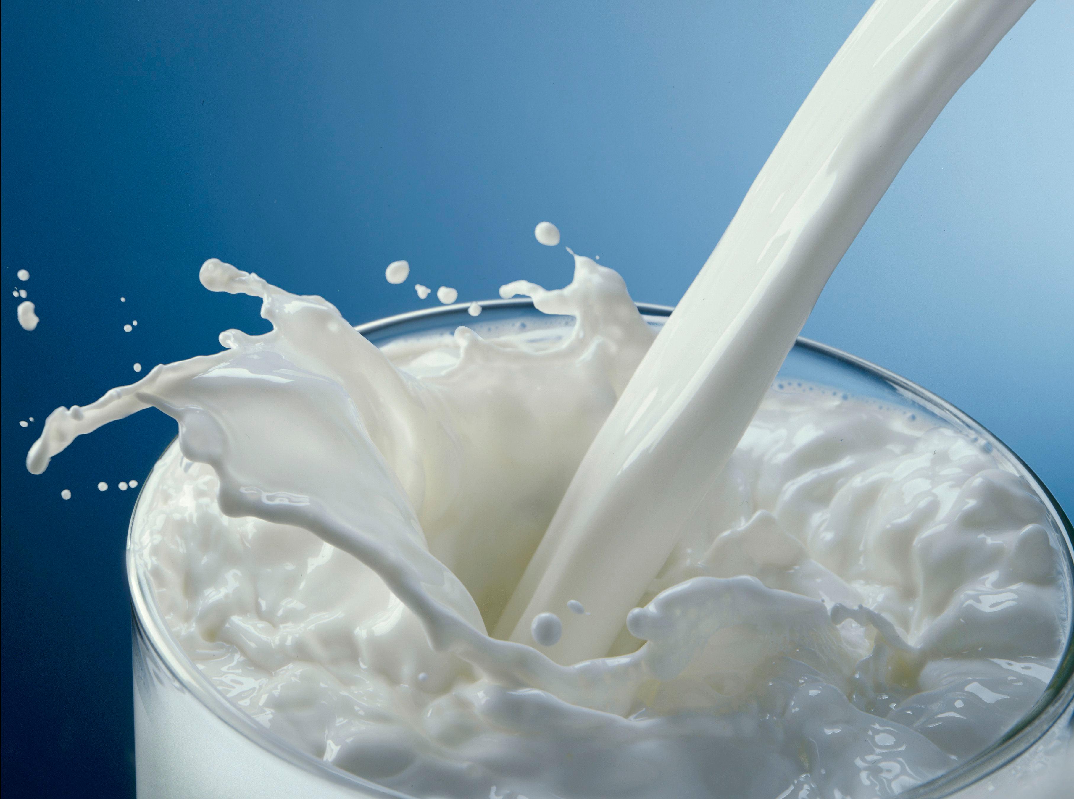 Mršavite uz mlijeko i mliječne proizvode