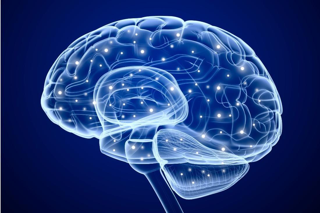 Poremećaj procesa u mozgu - Avaz