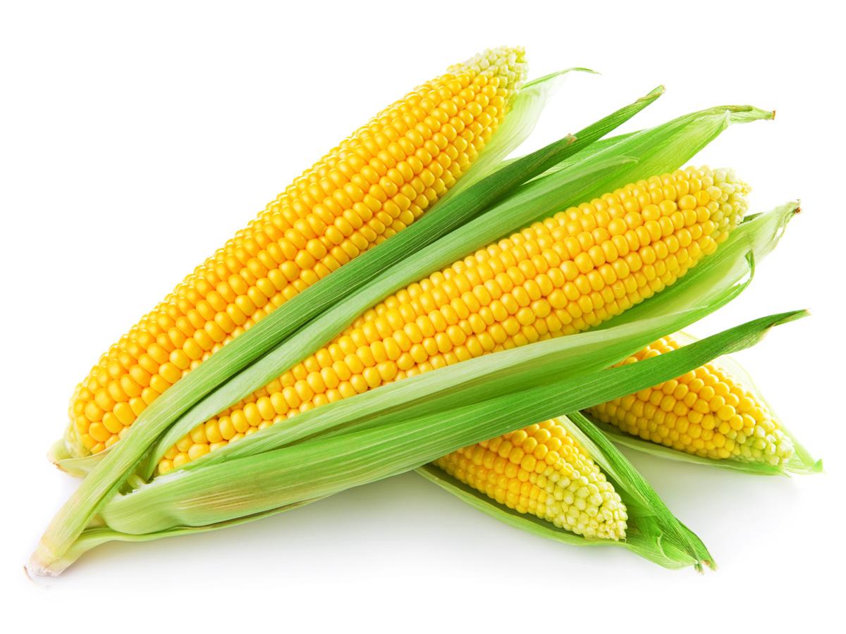 Kukuruz ublažava gastritis