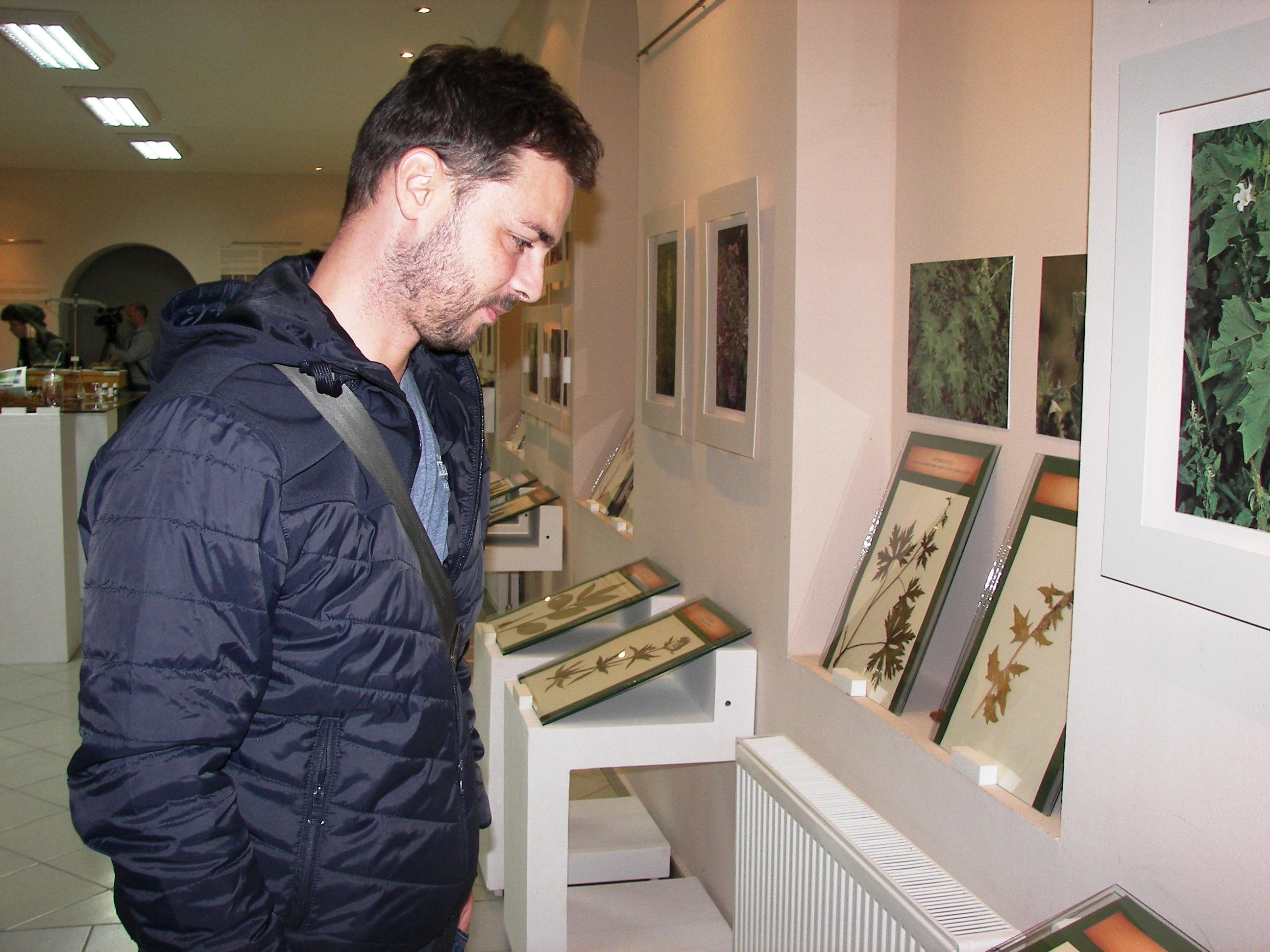 Izložba obuhvata veliki broj biljaka iz herbarija te fotografije - Avaz
