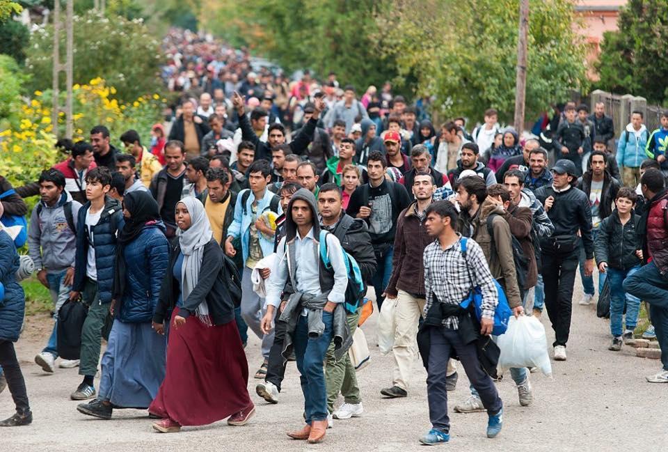 Do 25. decembra prijavljeno 23.789 nezakonitih migranata