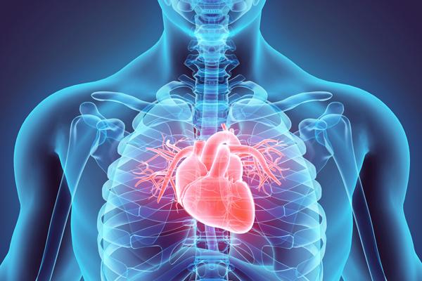 Kardiovaskularne bolesti postoje oduvijek - Avaz
