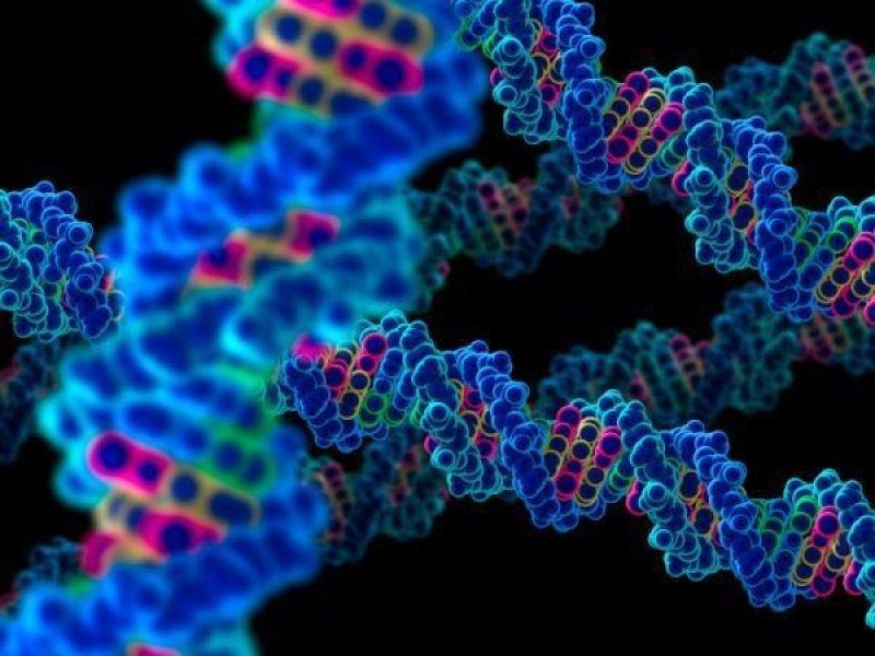 10 tajni skrivenih u genima