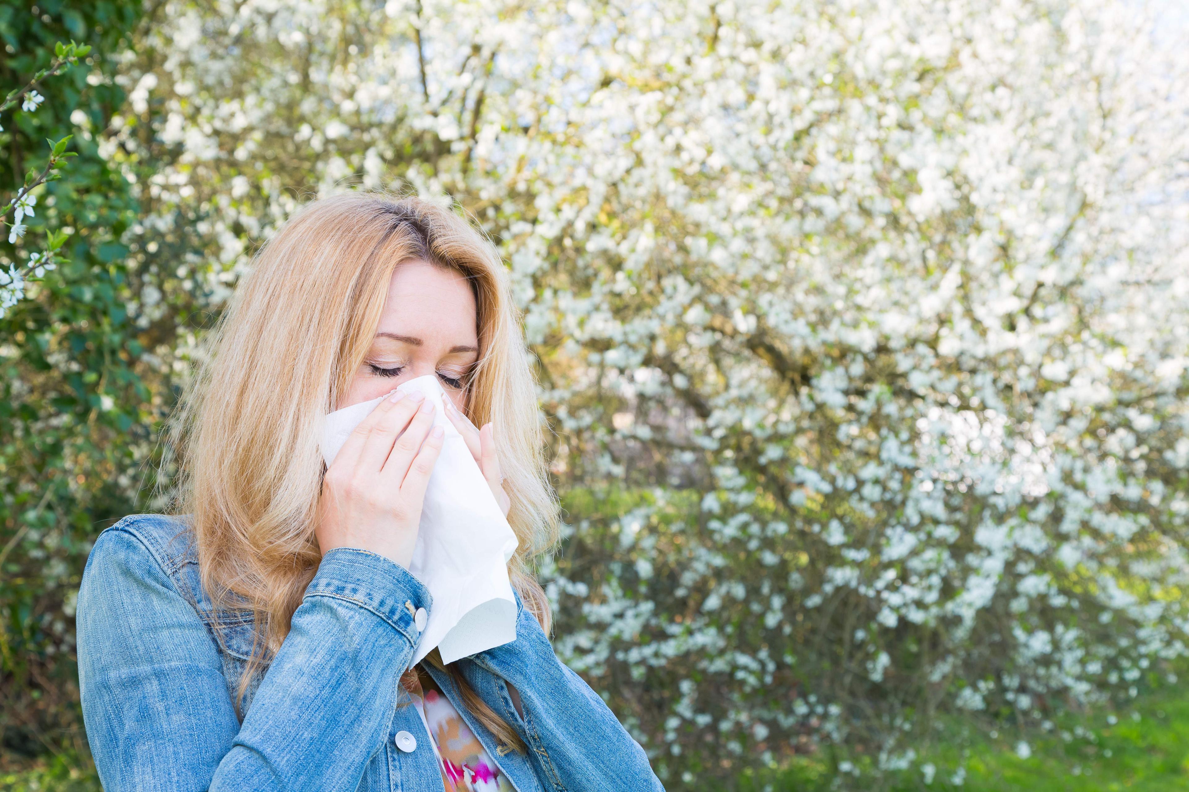 Polen je jedan od najčešćih alergena - Avaz