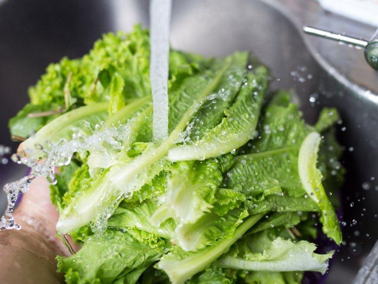 Zelena salata – izvor vitamina A i K
