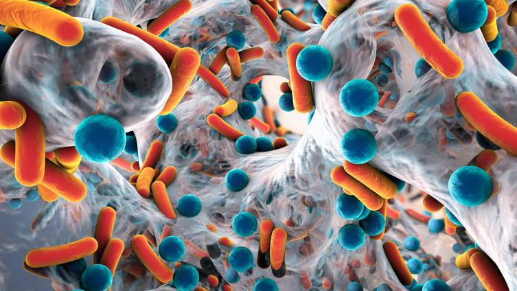 Bakterije utjeću na obrambene sisteme - Avaz