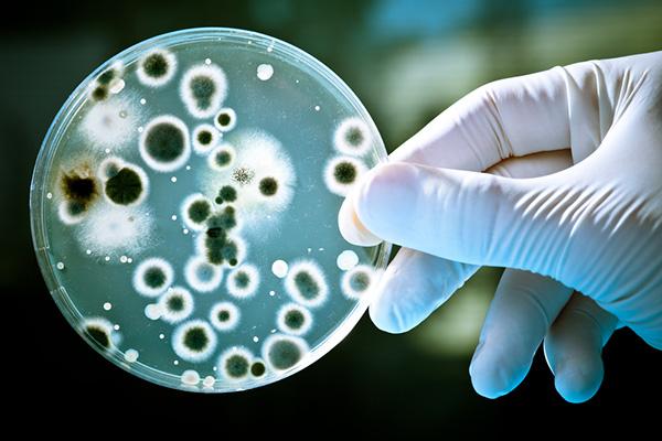 Novi tretman protiv superbakterija