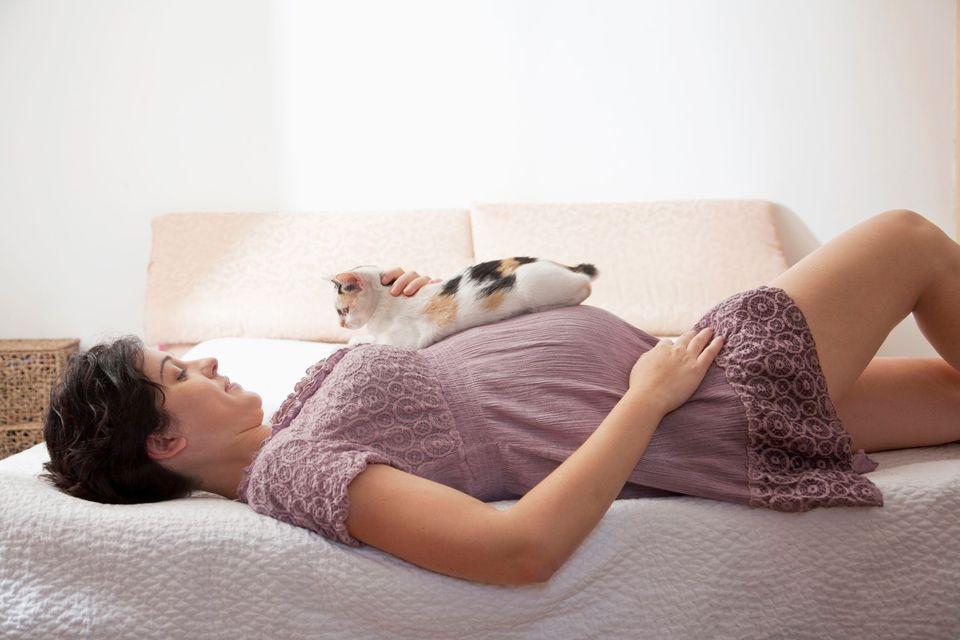Infekcija parazitom koju prenose mačke može naštetiti trudnici