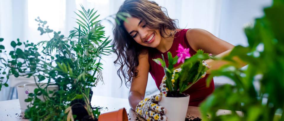 Ovo vam sad upravo treba: Pet biljki koje čiste zrak u kući od toksina