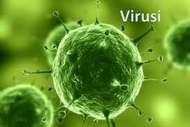 Virusi nas mogu sedmicama izbaciti iz normalnih životnih tokova - Avaz