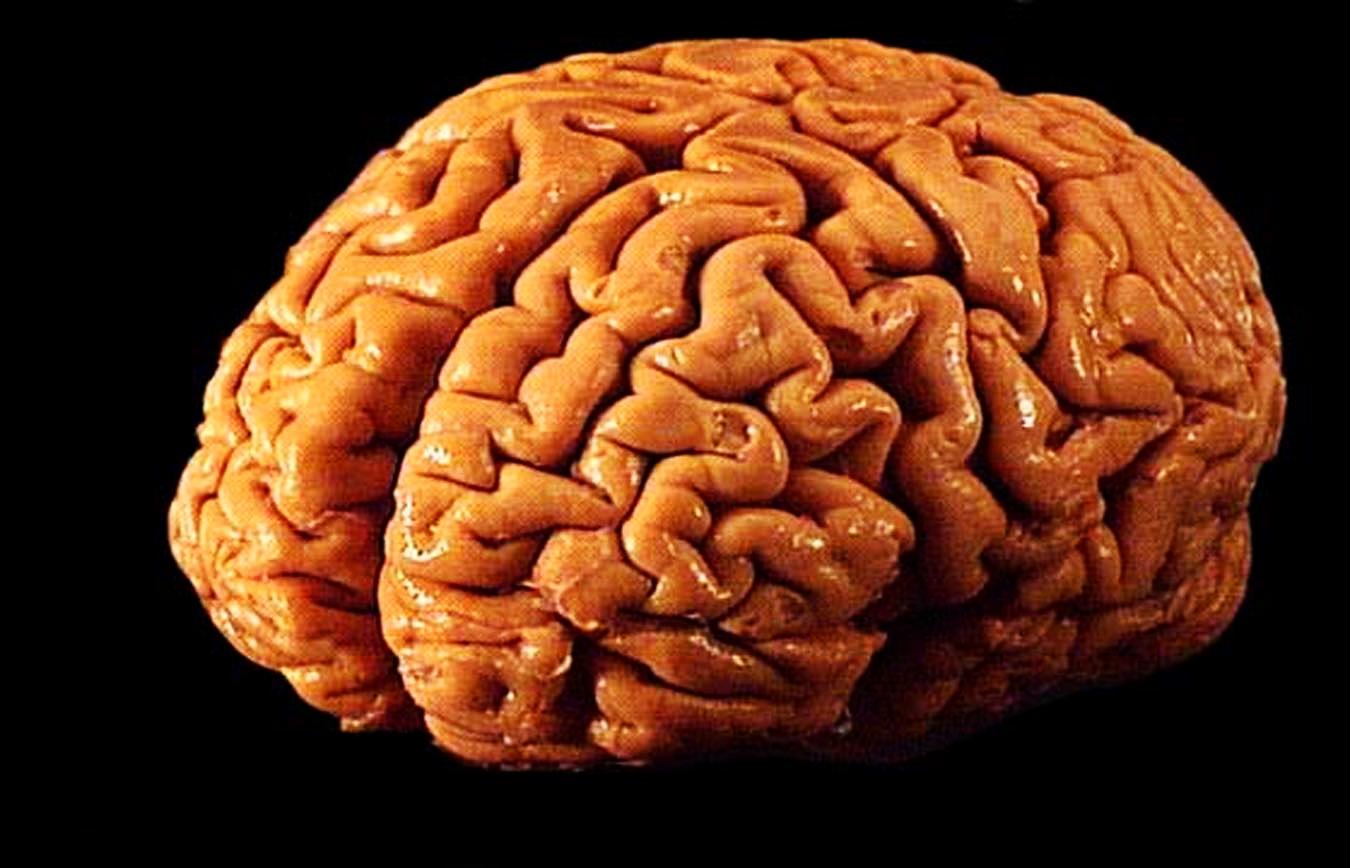 Bakar - mineral za mozak