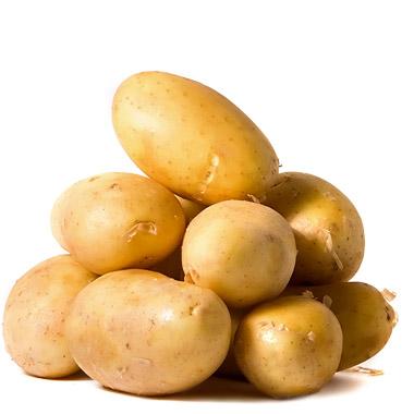 U svijetu postojie hiljade vrsta krompira - Avaz