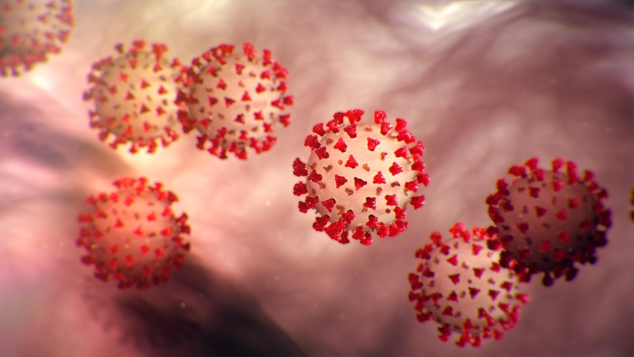 Koronavirus je spoj dva virusa, što mu je omogućilo da napada čovjeka