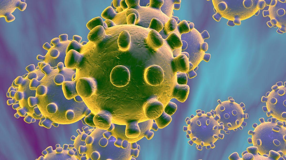 Raste broj bolesti izazvanih virusima - Avaz