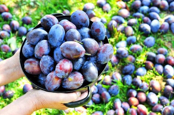 Šljive i grožđe: Marinada koja može trajati i tri godine