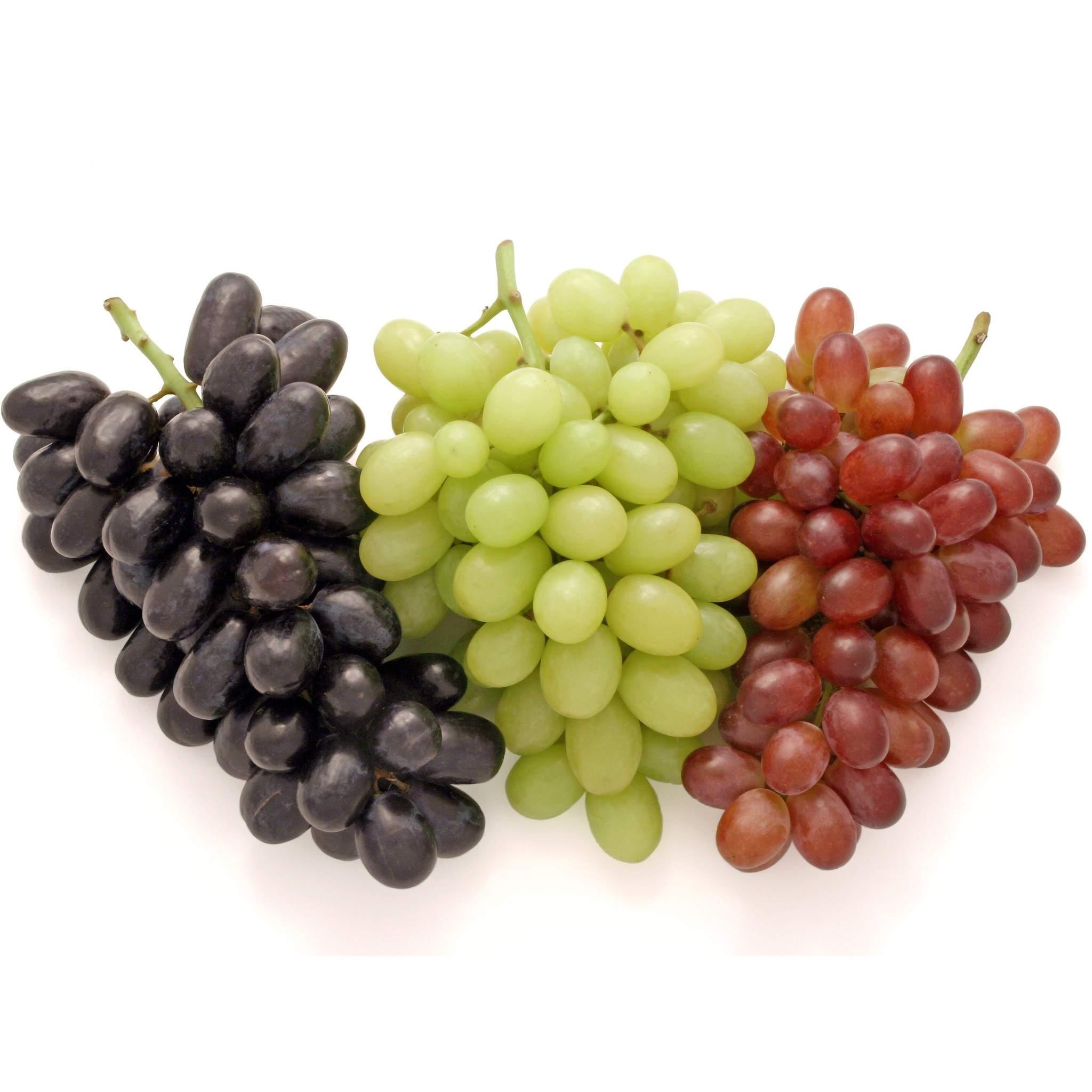 Plodovi grožđa se dijele na crvene, crne i bijele - Avaz