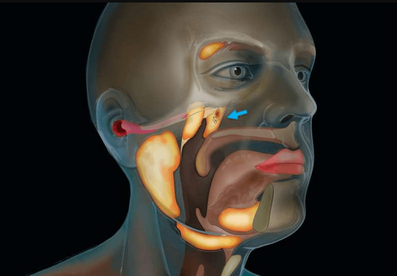 Nalaze se unutar nazofarinksa iza nosa - Avaz