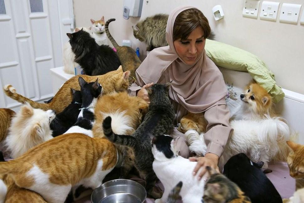 U kući ima 480 mačaka i 12 pasa, a hiljade eura troši na hranu